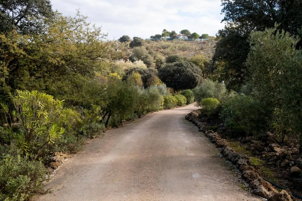 Villa La Mejorana Refugio Andaluz Con Piscina Entre Olivos Villanueva de Tapia Сasa de vacaciones