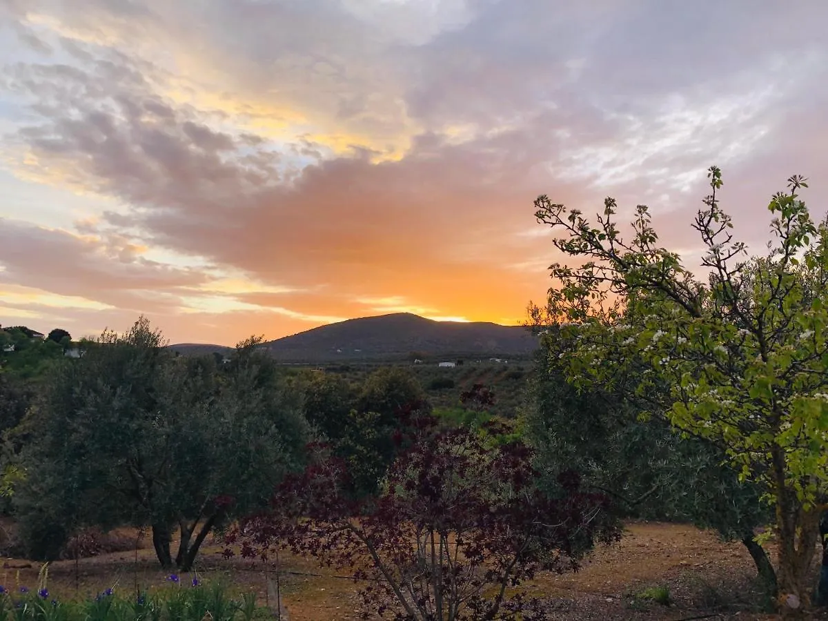 Tradicional Casa De Campo Andaluza Con Piscina Privada Villanueva de Tapia