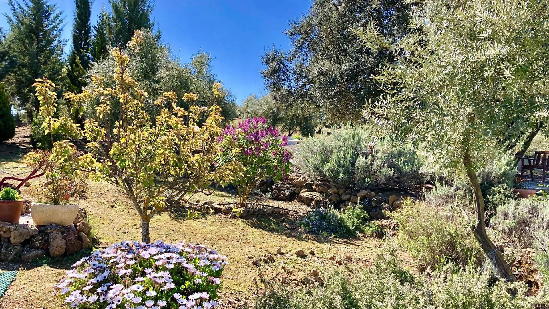 度假居 Tradicional Casa De Campo Andaluza Con Piscina Privada 西班牙