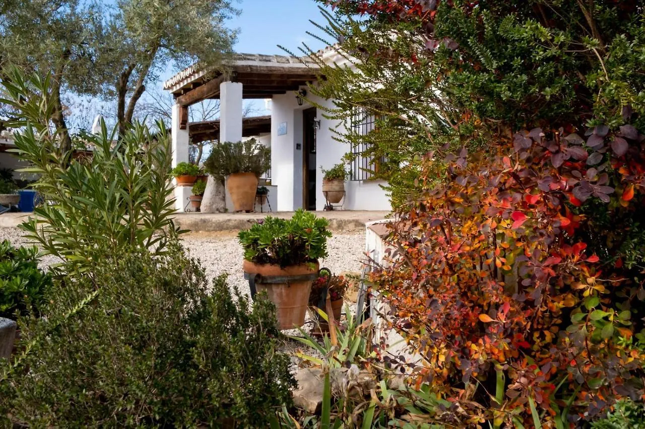 Tradicional Casa De Campo Andaluza Con Piscina Privada Villanueva de Tapia